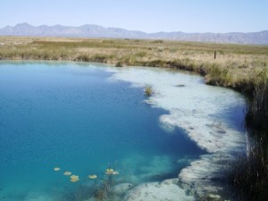 aniceshelfPozaAzules3small