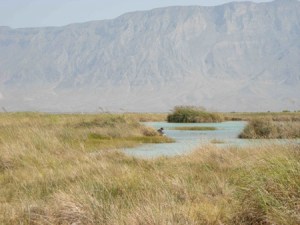 DarrinworkinginJuanSantos