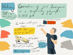 SMBE_Hulsey_cartoontalk