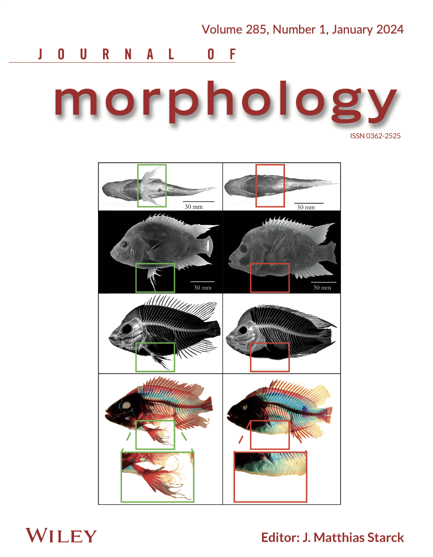 JMorph_Jan2023_PelvicFinlessCover
